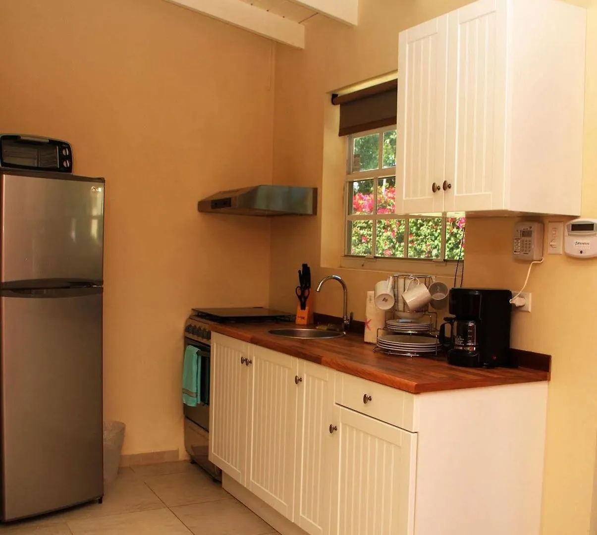 Nature Aruba Deluxe Apartments شاطئ بالم