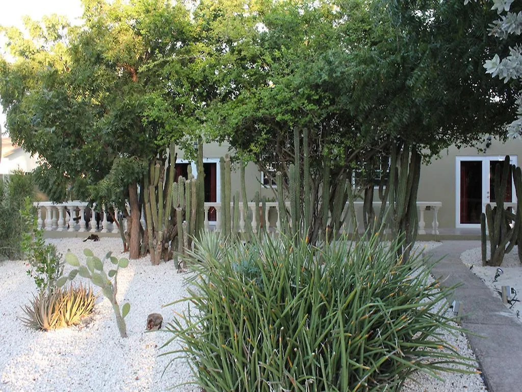 Nature Aruba Deluxe Apartments Palm Beach