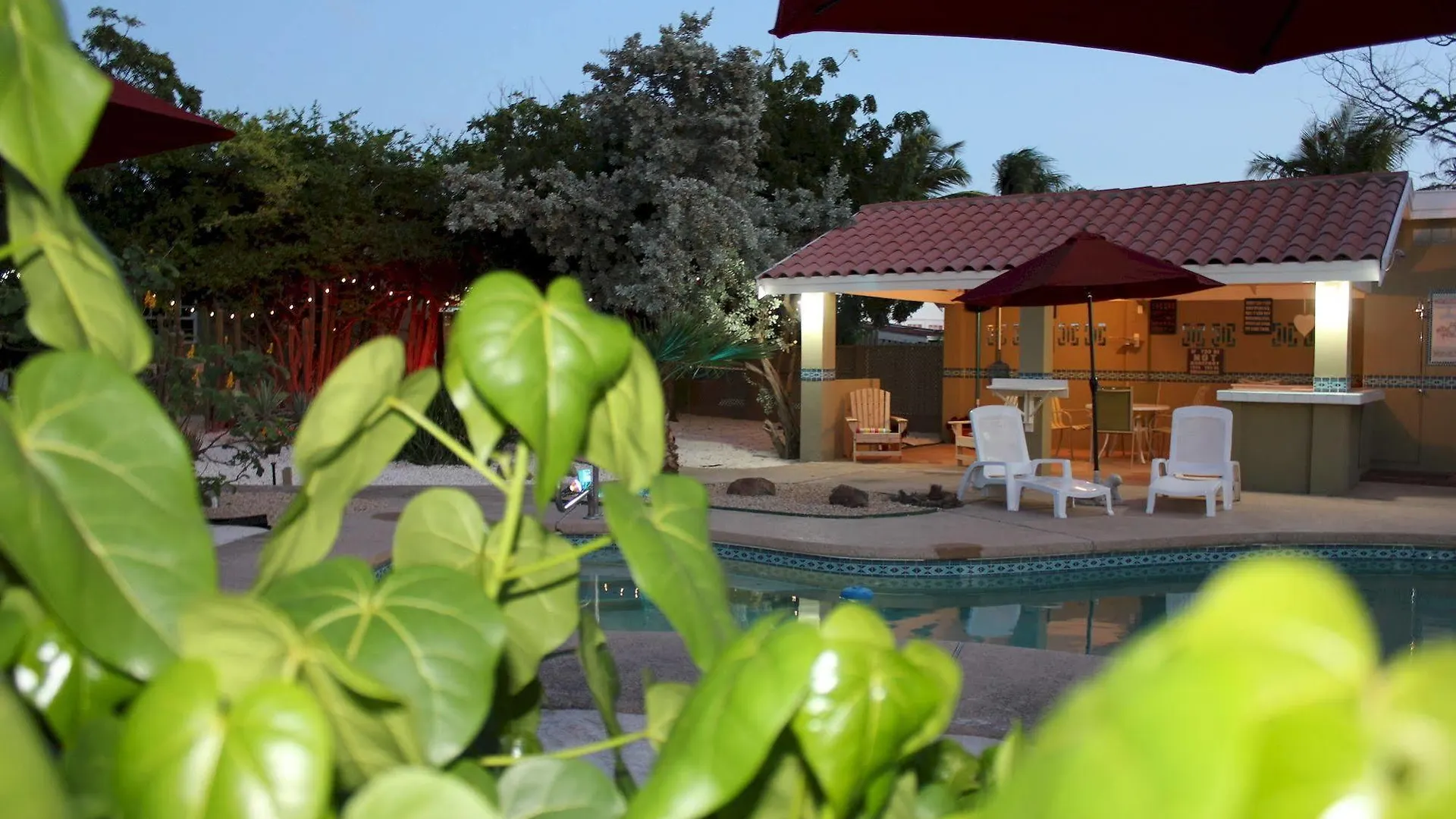 Nature Aruba Deluxe Apartments Palm Beach